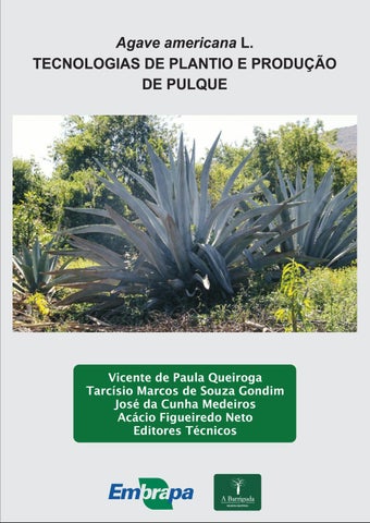 Agave Terapias